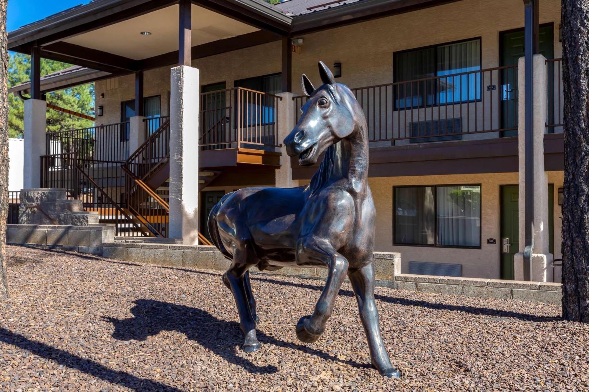 Best Western Paint Pony Lodge Show Low Exteriör bild